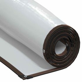 Clear Tarpaulin with Eyelets 9.8x26.2' Polyethylene